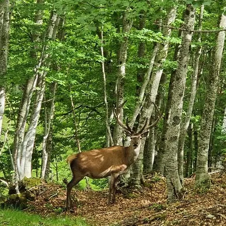 In Valle Di Luce