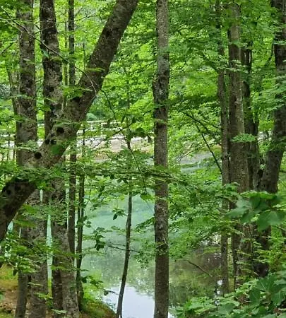 In Valle Di Luce * ピッツォフェッラート