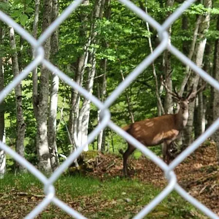 In Valle Di Luce Lägenhet