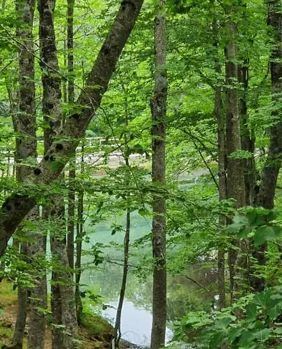 In Valle Di Luce * Pizzoferrato