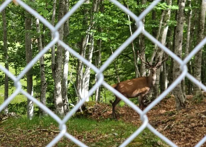 In Valle Di Luce Apartment
